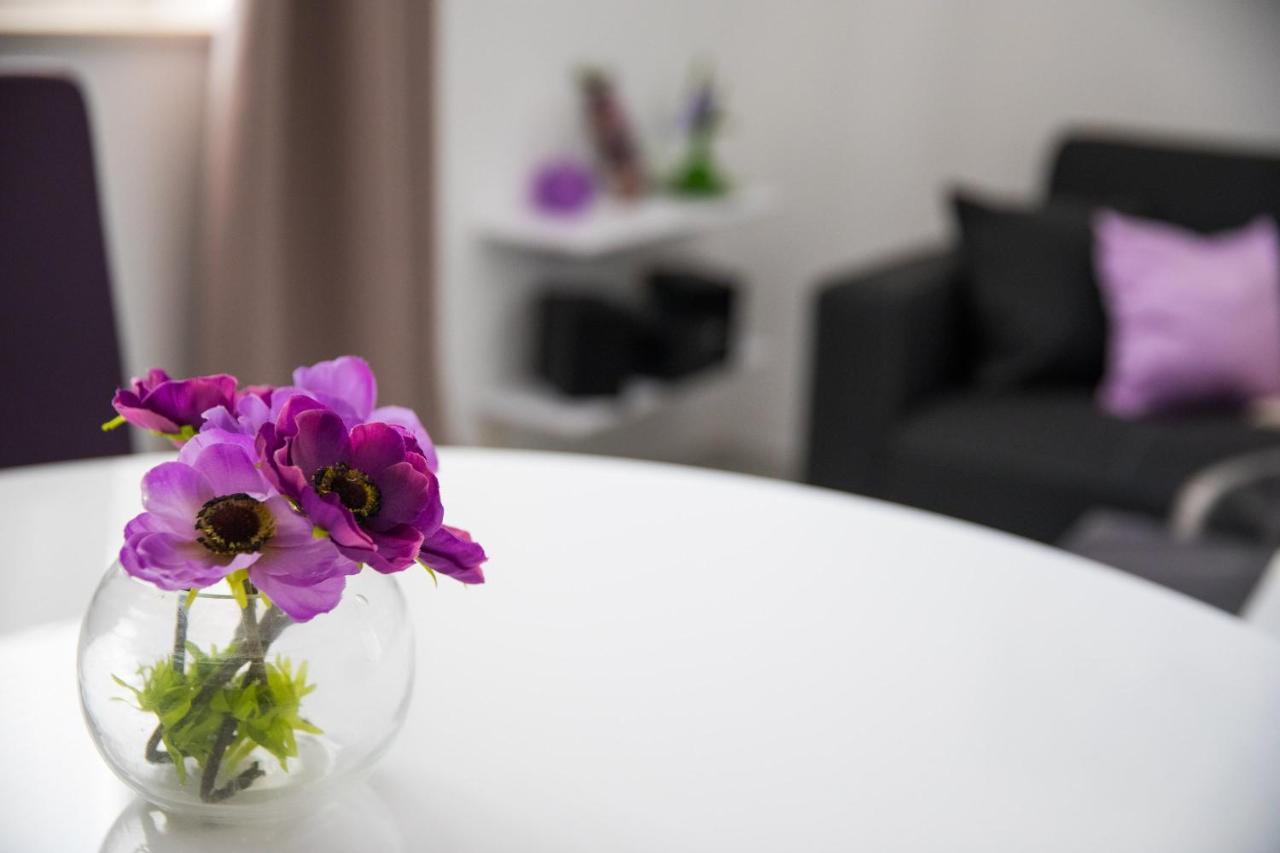 Concordia Apartment *